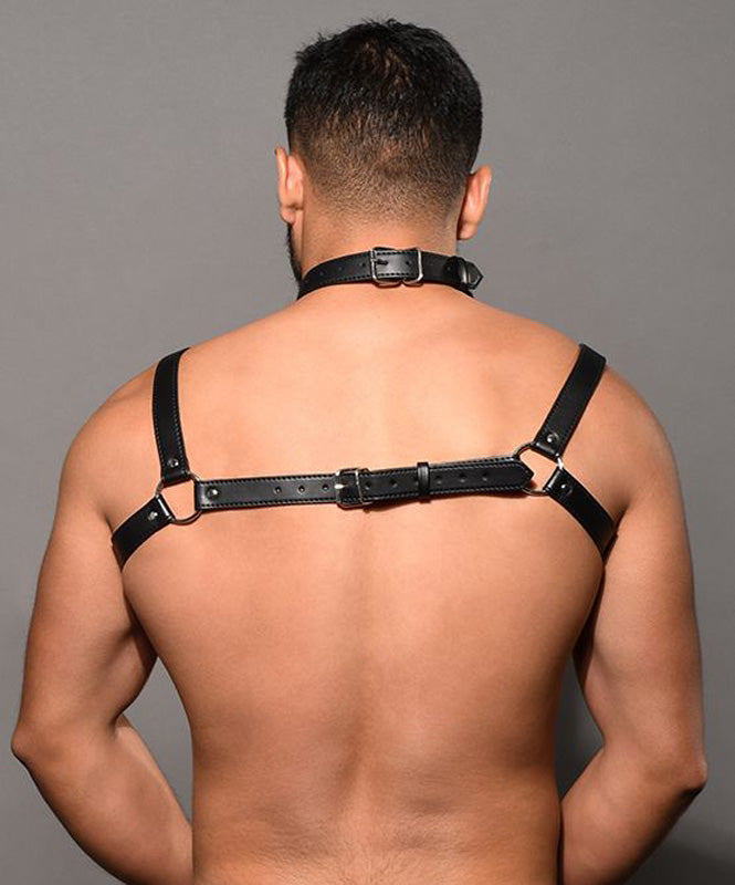 Andrew Christian Choker Harness