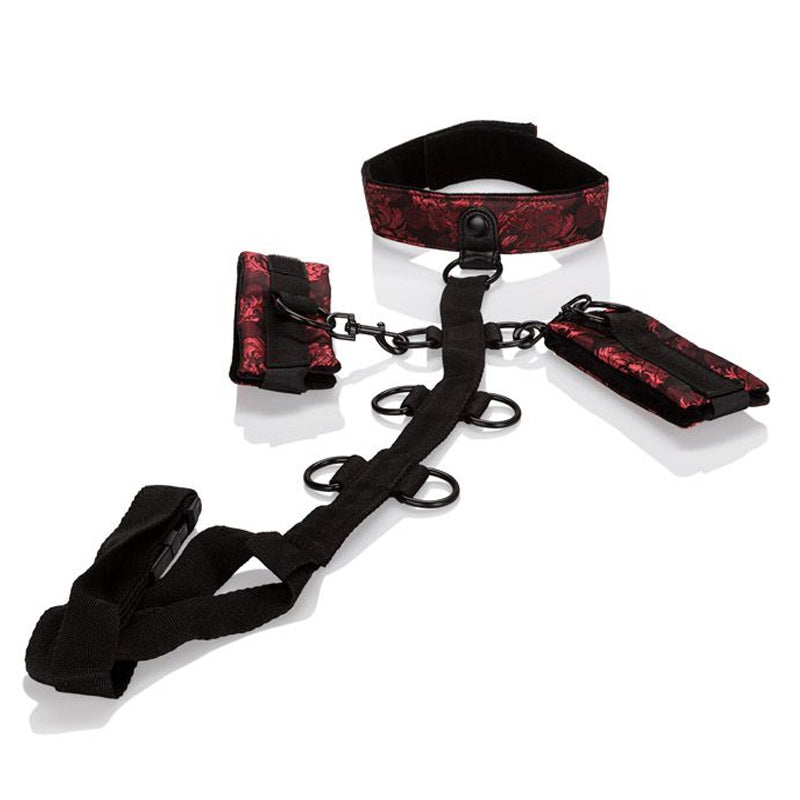 Scandal Collar Body Restraint