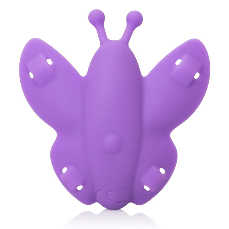 Venus Harness Size 2 Purple