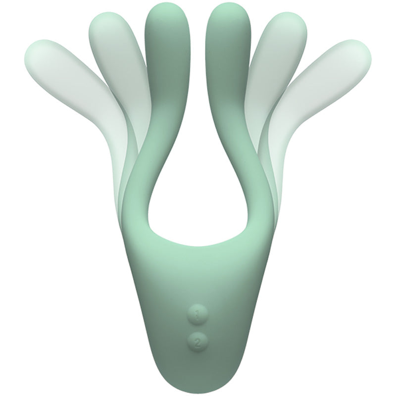 TRYST v2 Bendable Multi Erogenous Zone Massager with Remote