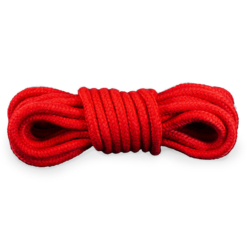 Beginner BDSM Kit