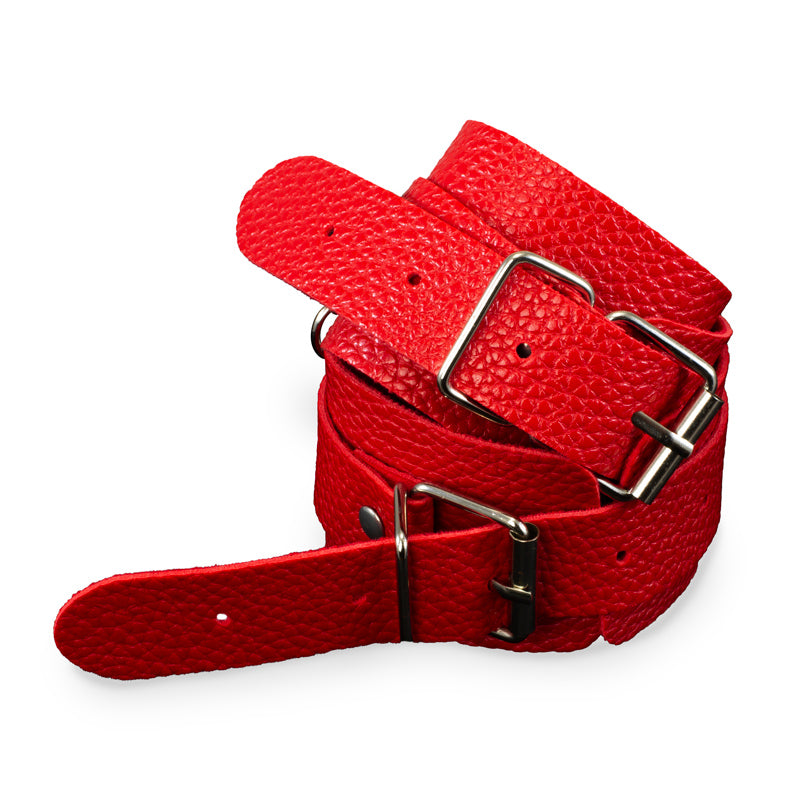 Beginner BDSM Kit