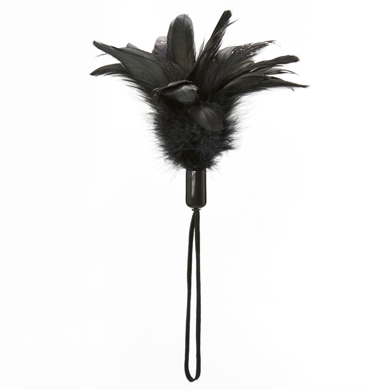 SportSheet Pleasure Feather