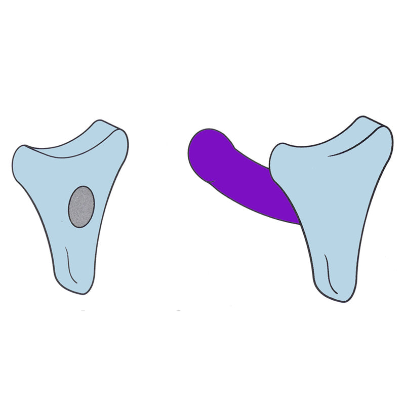 Sportsheet Luma Dildo & Harness Silicone Cushion