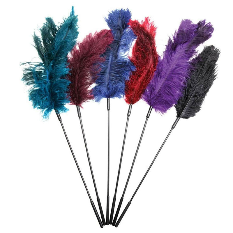 SportSheet Ostrich Tickler Combination - 6 Assorted