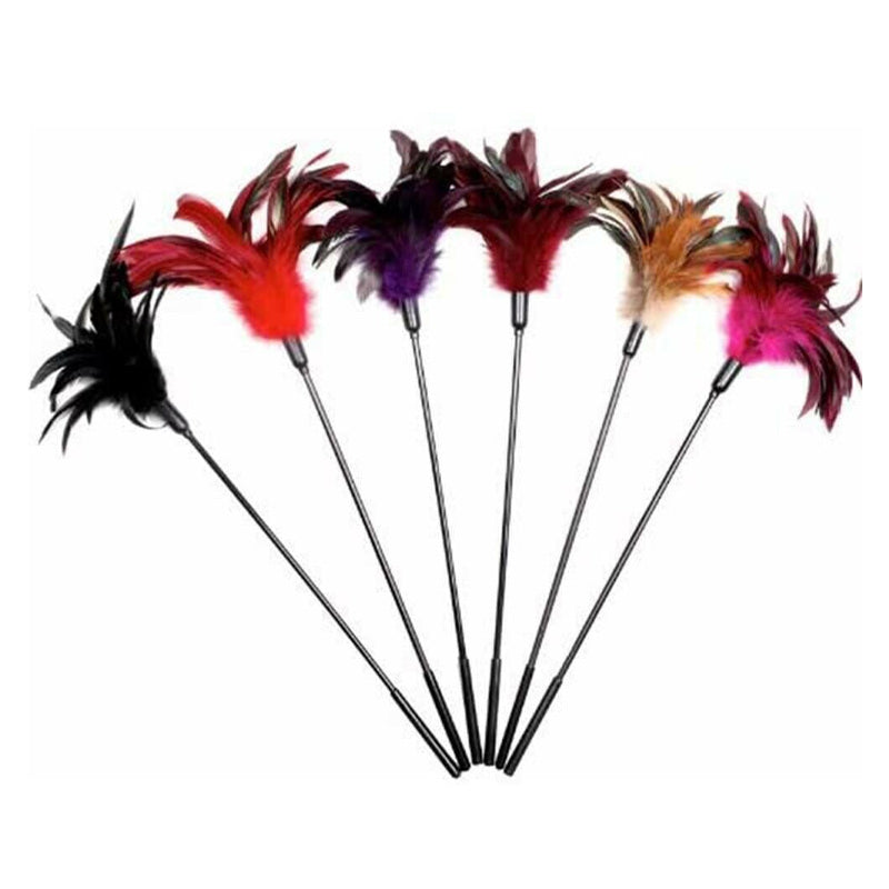 SportSheet Starburst Tickler Combination - 6 Assorted