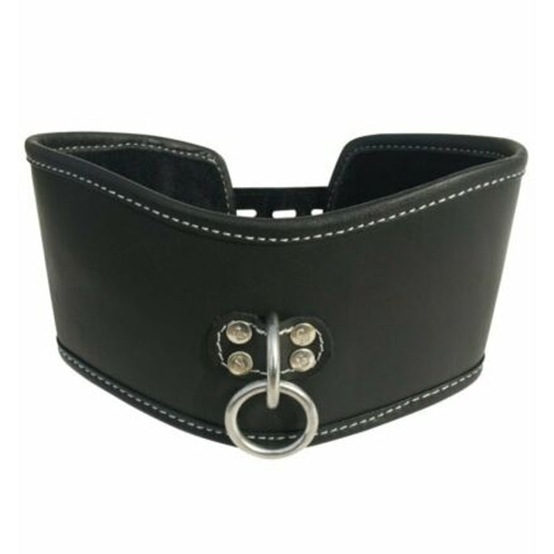 Soft Leather Posture Collar