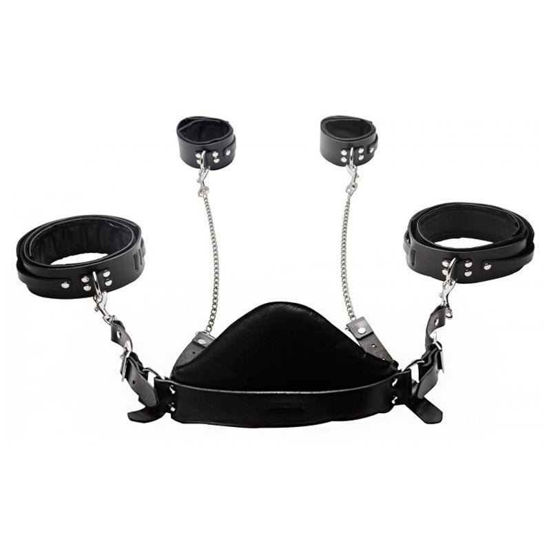 Strict Leather Sling and Stirrups