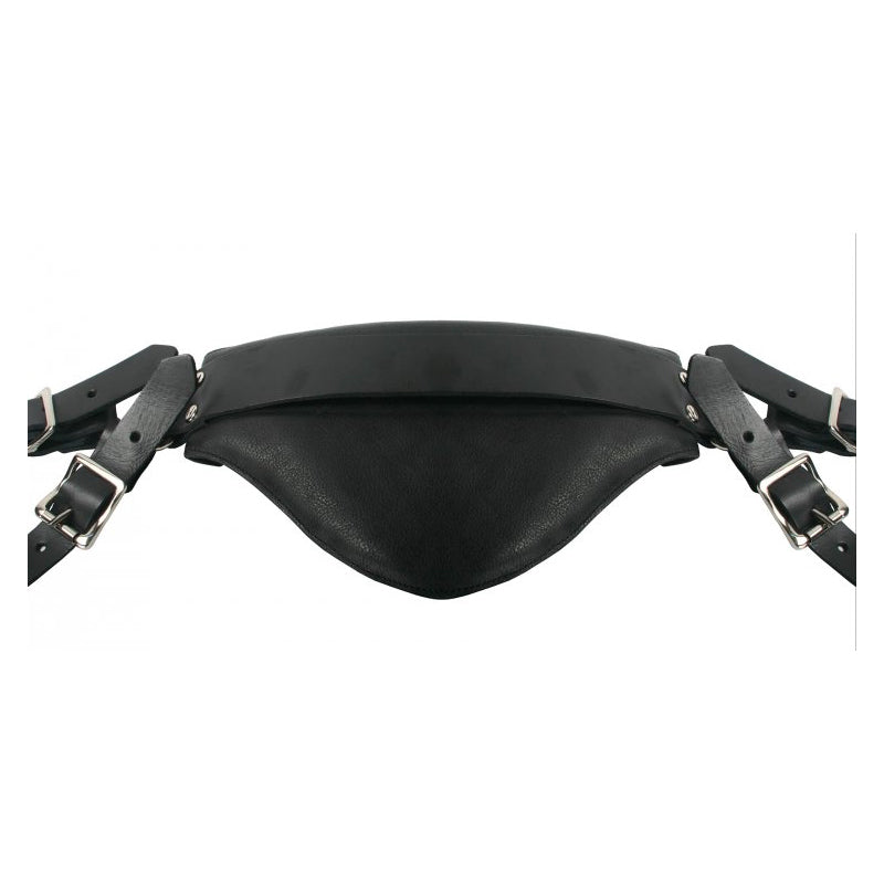 Strict Leather Sling and Stirrups