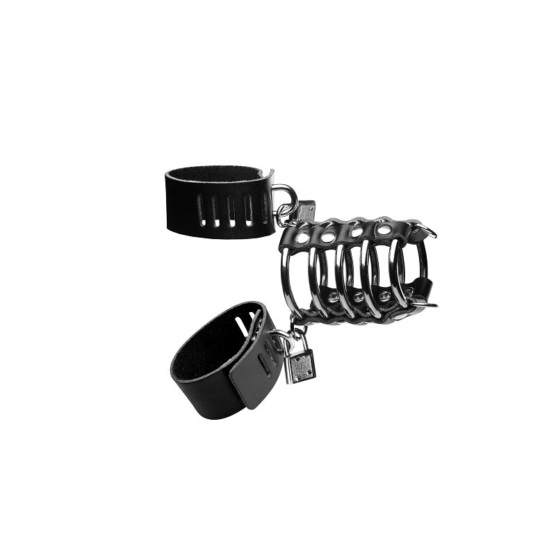 Gates of Hell Chastity Device
