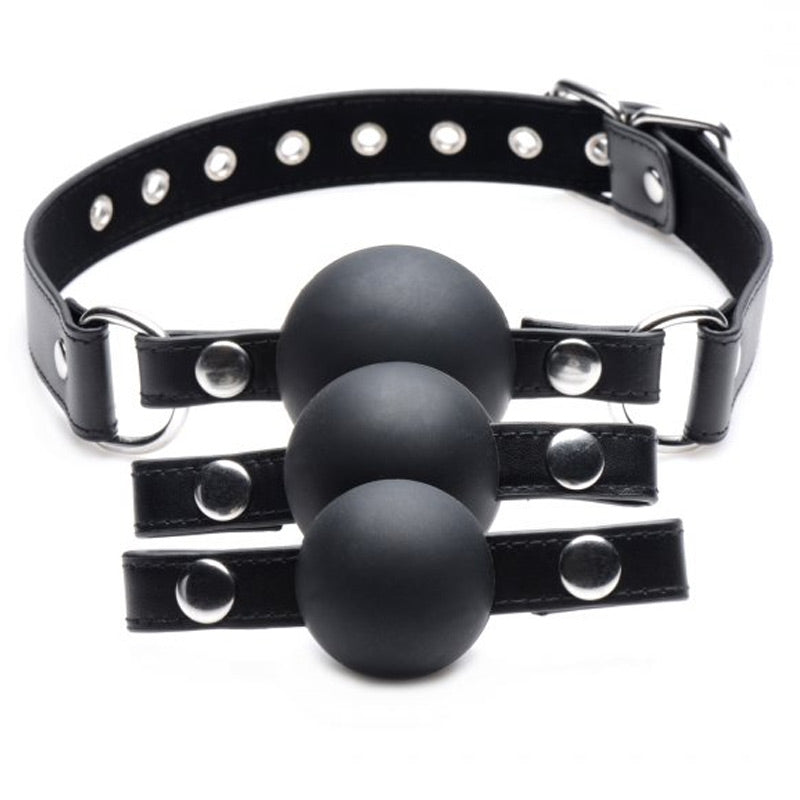 Interchangeable Silicone Ball Gag Set