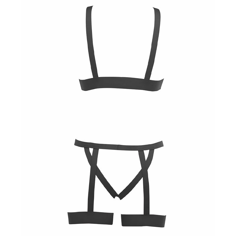 Kitten Teaser Bra and Panty Set