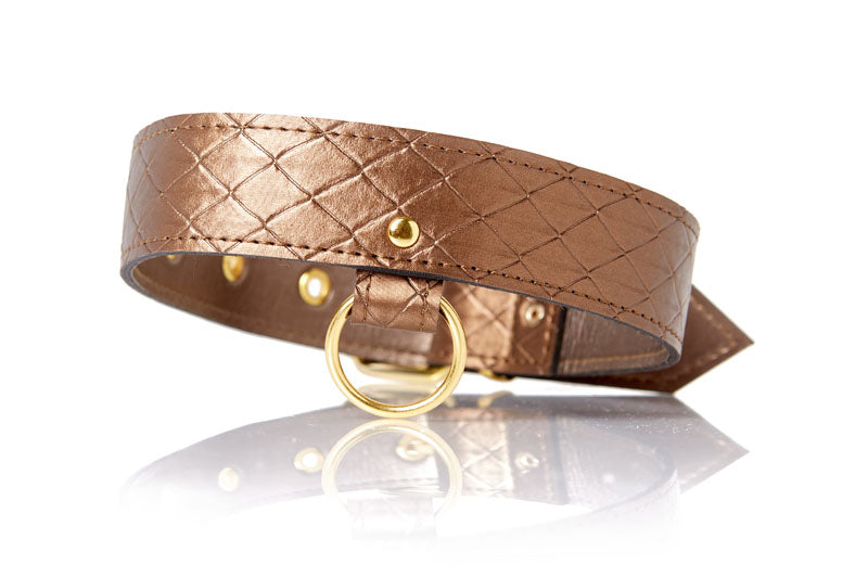 X-Play Darling Pet Collar With Leash Set