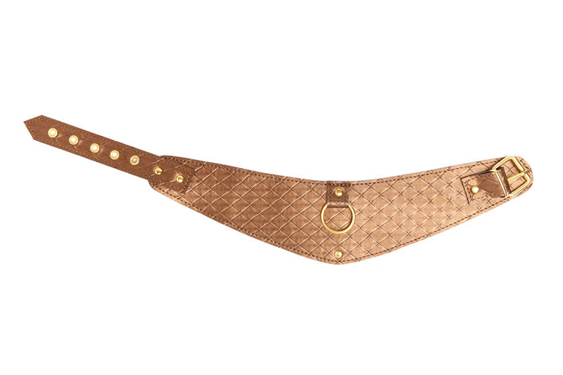 X-Play Look At Me Posture Collar