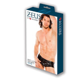Zeus Wet Look Sexy Shorts