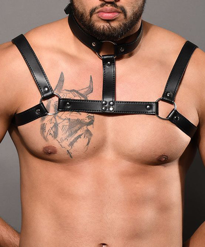 Andrew Christian Choker Harness