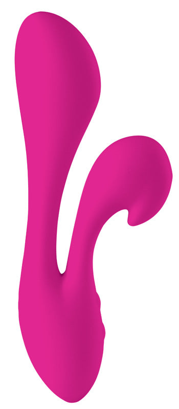 The Silhouette Swan