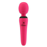 Palmpower Groove Mini Wand