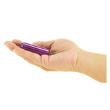 Mini Powerbullet
