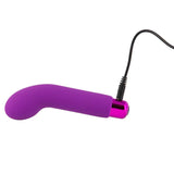 Sara's Spot Vibrator