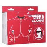 Punishment Rose Gold Choker & Nipple Clamps