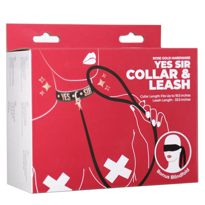 Punishment Rose Gold Yes Sir Collar & Leash