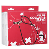 Punishment Rose Gold Yes Sir Collar & Leash