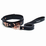 Punishment Rose Gold Yes Sir Collar & Leash
