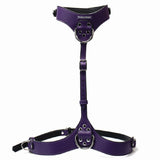 Punishment Silver Hardware Chest Harness