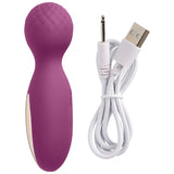 Cloud 9 Novelties Health & Wellness Flexi Rechargeable Wand