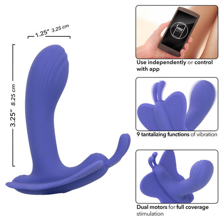 Connect Venus Butterfly