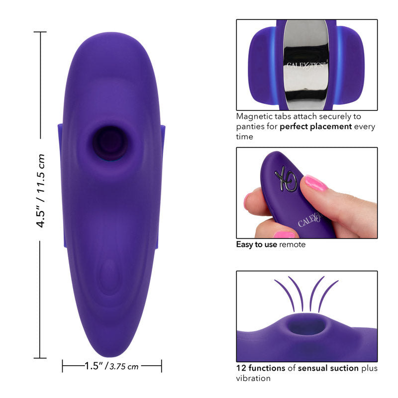 Lock-N-Play Remote Suction Panty Teaser