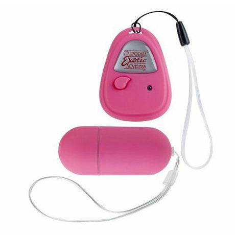 Shanes World Hookup Remote Control