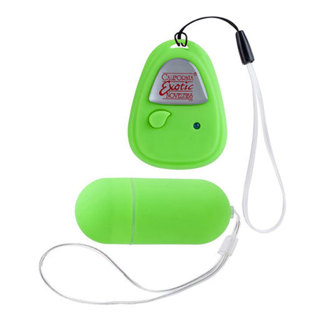 Shanes World Hookup Remote Control Egg