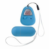 Shanes World Hookup Remote Control Egg