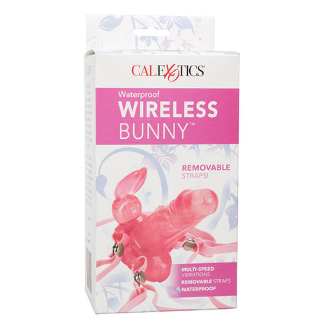 CalExotics Wireless Bunny