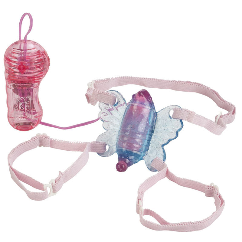 Shanes World Venus Butterfly