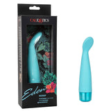 Eden Scoop