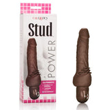 Power Stud Cliterrific