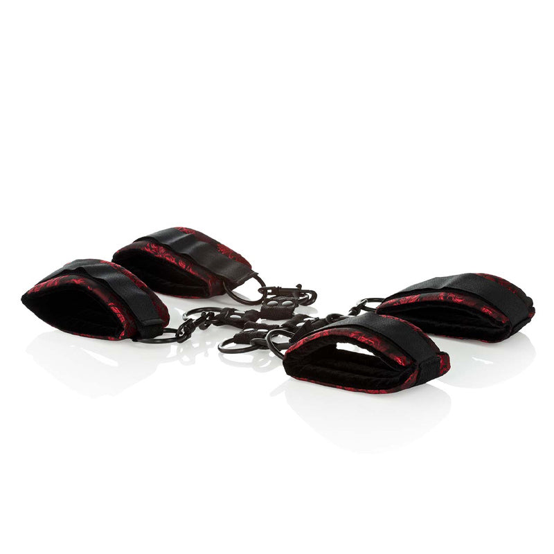 Scandal Hog Tie