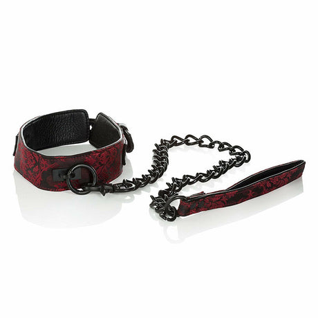Scandal Leash