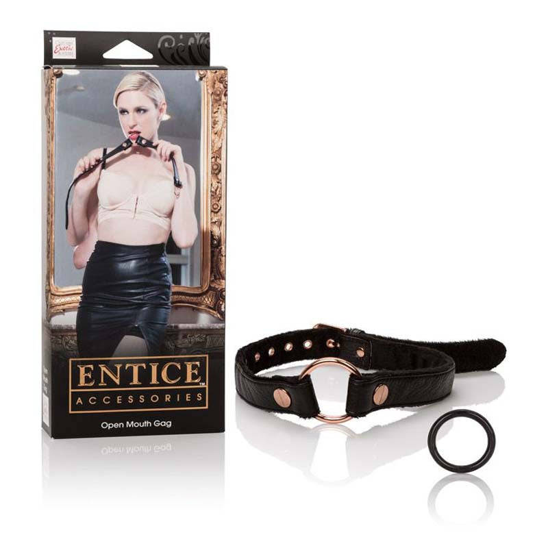 Entice Open Mouth Gag