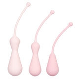 Inspire Weighted Silicone Kegel Training Kit