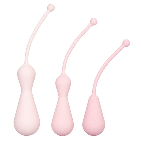 Inspire Weighted Silicone Kegel Training Kit