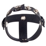 Colt Leather H Piece Divider
