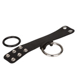Colt Scrotum Set