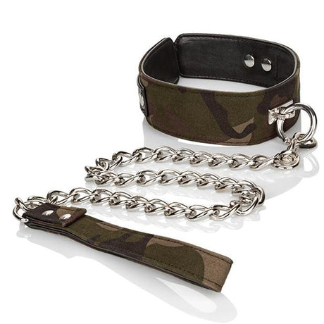 COLT Collar & Leash