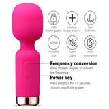 Shanna Moakler Mini Wand