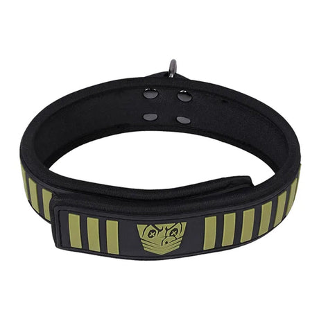 Fort Troff Tactical Collar & Leash