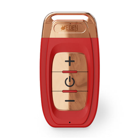 Rechargeable Panty Vibe